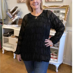 Blakely Amelia ruched sheer black top in plus 2X